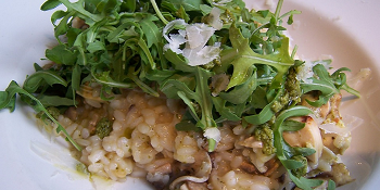 Risotto met portabella, blauwe kaas en walnoten