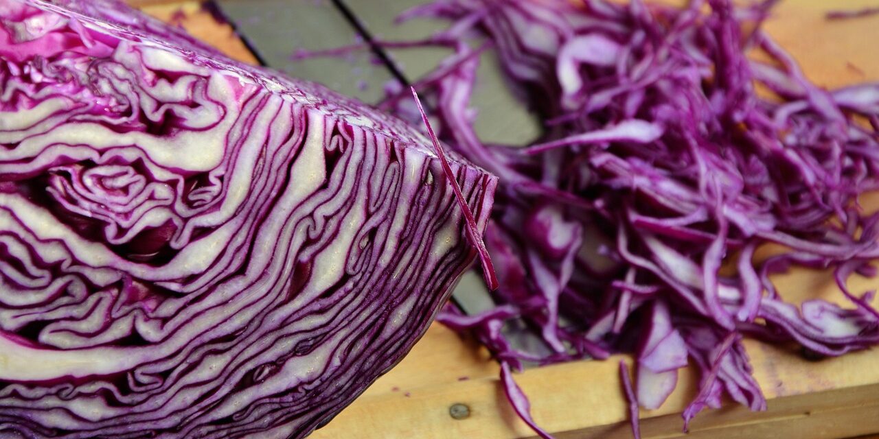 red-cabbage-1931731_1280
